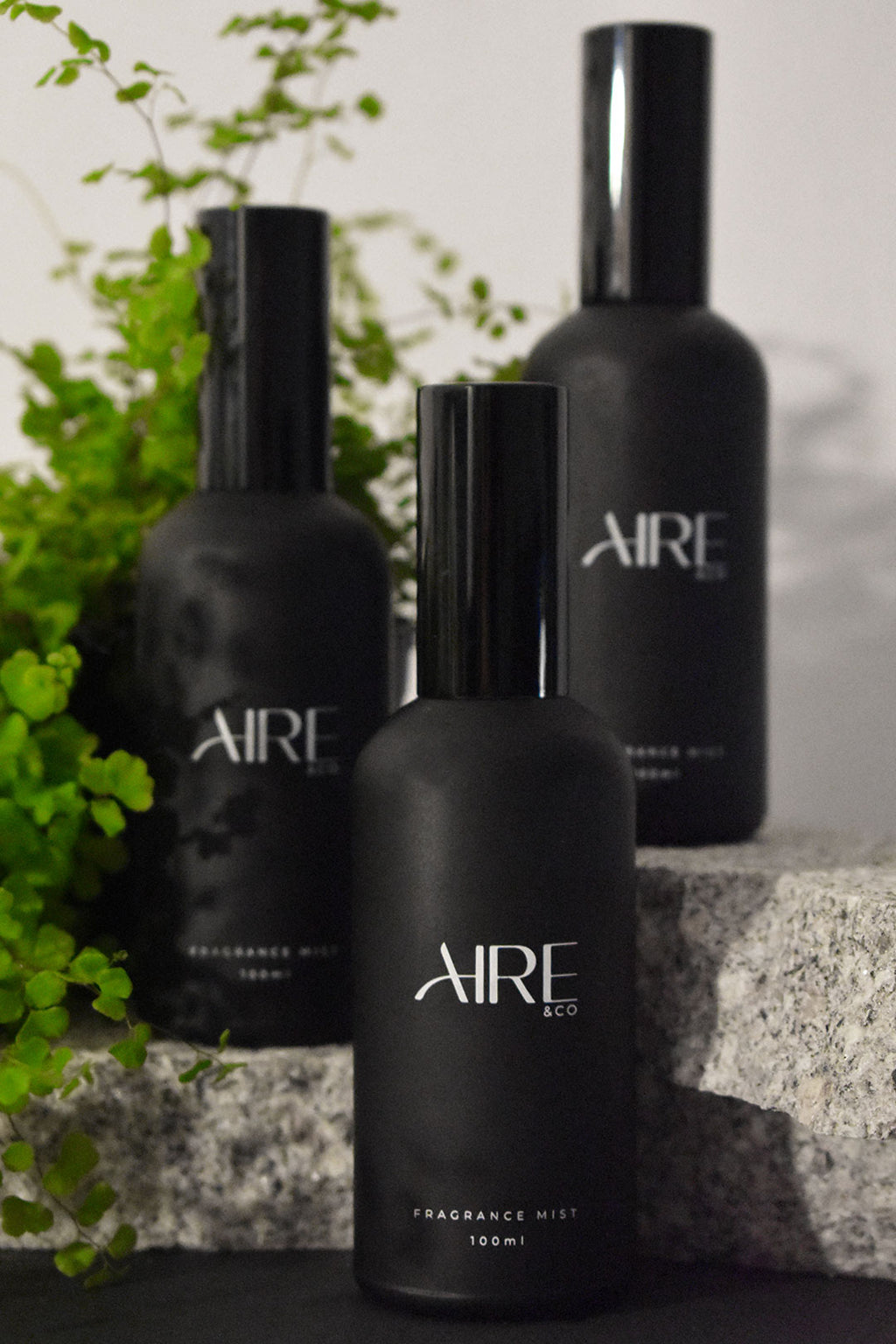 Three black Aire & Co home fragrance bottles on a stone surface with greenery in the background.