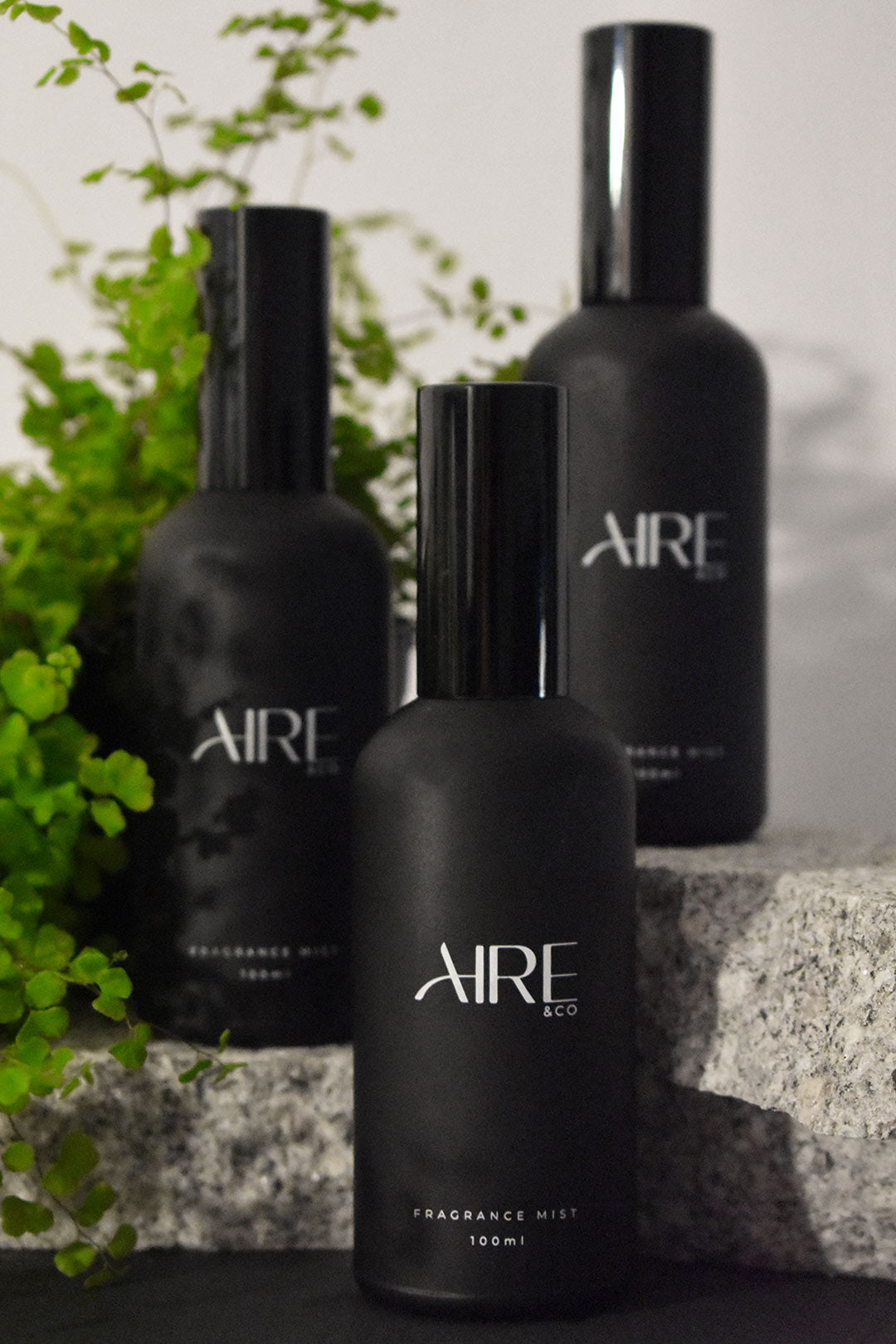 Three black Aire & Co home fragrance bottles on a stone surface with greenery in the background.
