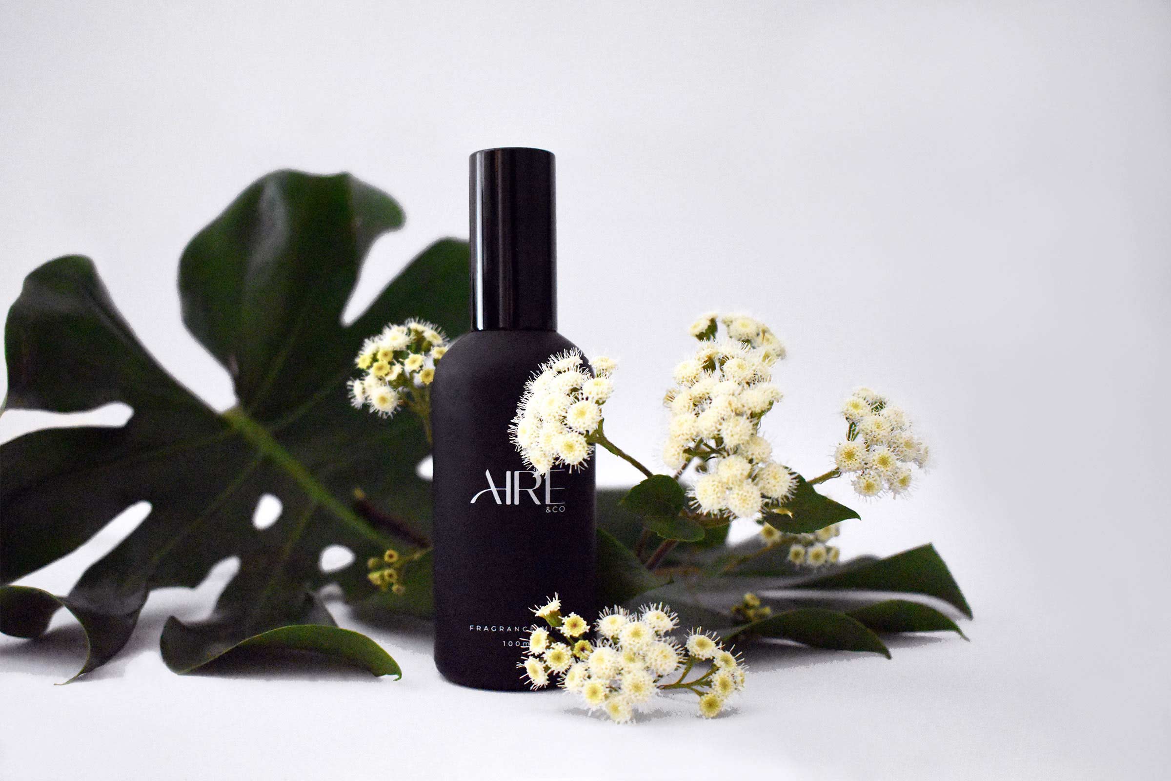 Black Aire and Co Home fragrance bottle with white flowers and green leaves on a light background
