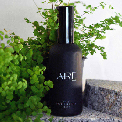 Black bottle of Aire & Co home fragrance  mist on grey rocks with green plants in the background